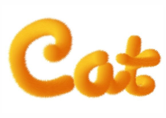 Typography Design - Orange Cat Review